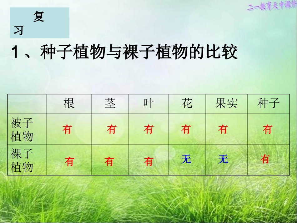植物的主要类群-2课时_第2页