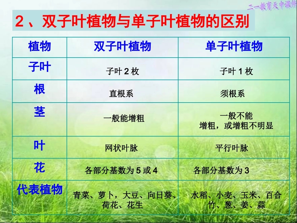 植物的主要类群-2课时_第3页