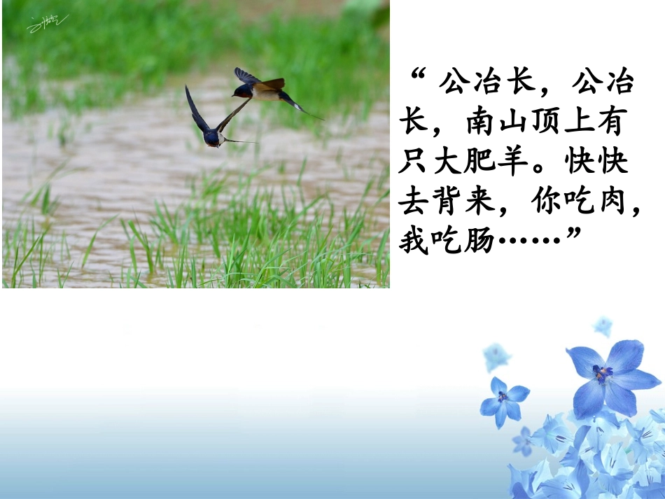 鸟语16祁小庆_第3页