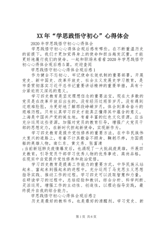 XX年“学思践悟守初心”心得体会