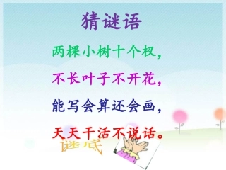 《胖乎乎的小手》课件