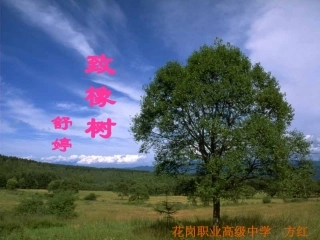 致橡树_花版2(1)