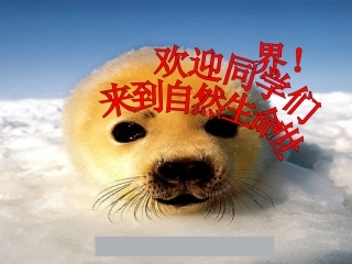 第七节_哺乳动物课件（34PPT）[1]