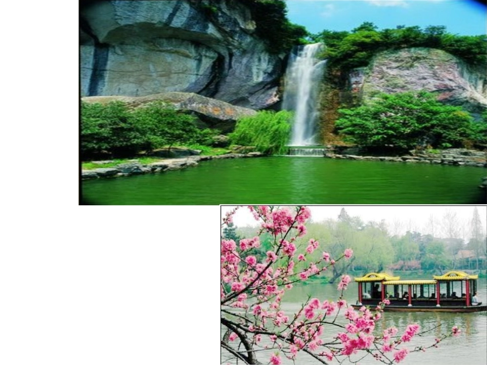 藻类、苔藓和蕨类植物图片_第2页