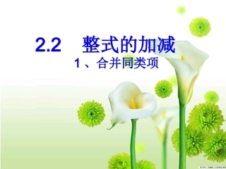 合并同类项--课件