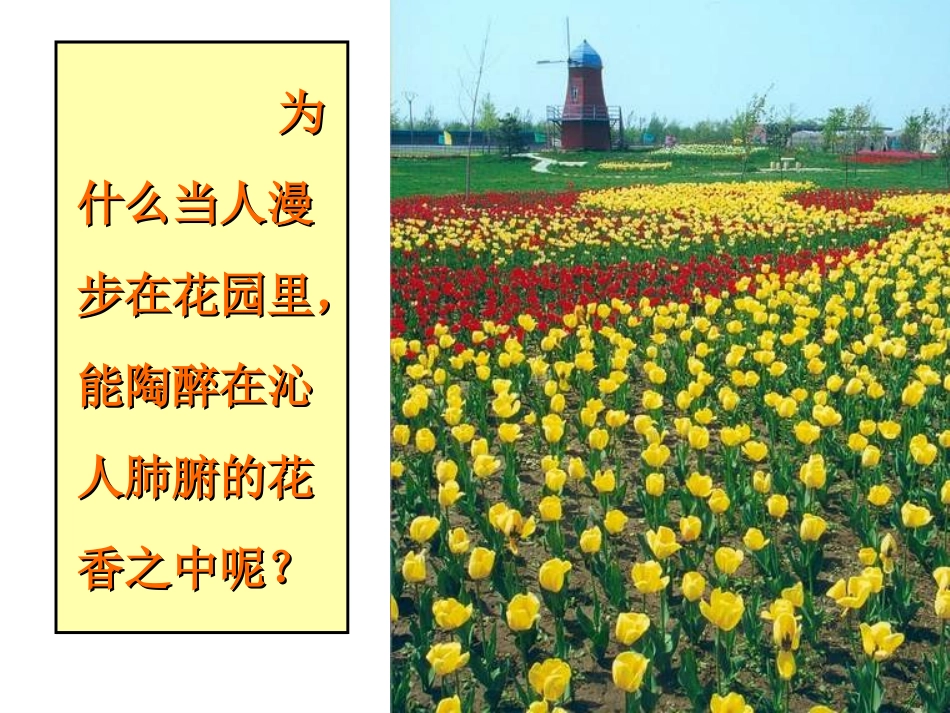 初三化学《分子和原子》PPT课件讲课_第3页