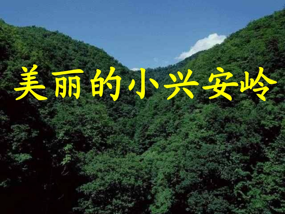 美丽的小兴安岭 _第1页