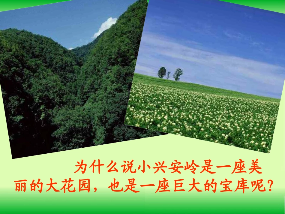美丽的小兴安岭 _第2页