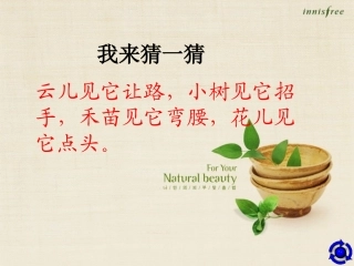 《风娃娃》课件