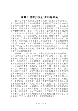 副乡长讲看齐见行动心得体会