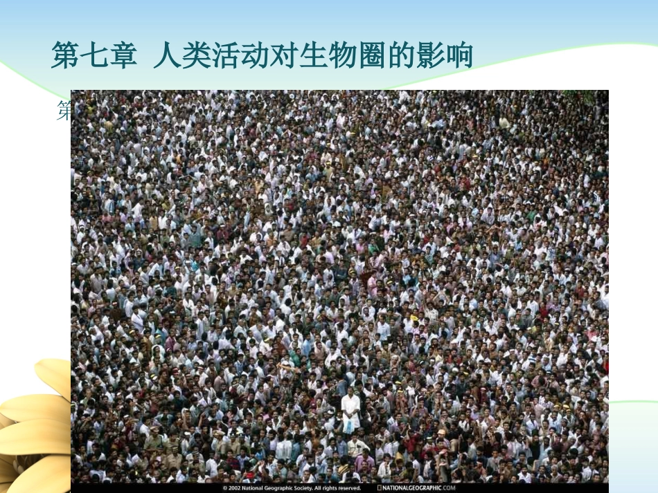 分析人类活动对生态环境的影响_第3页