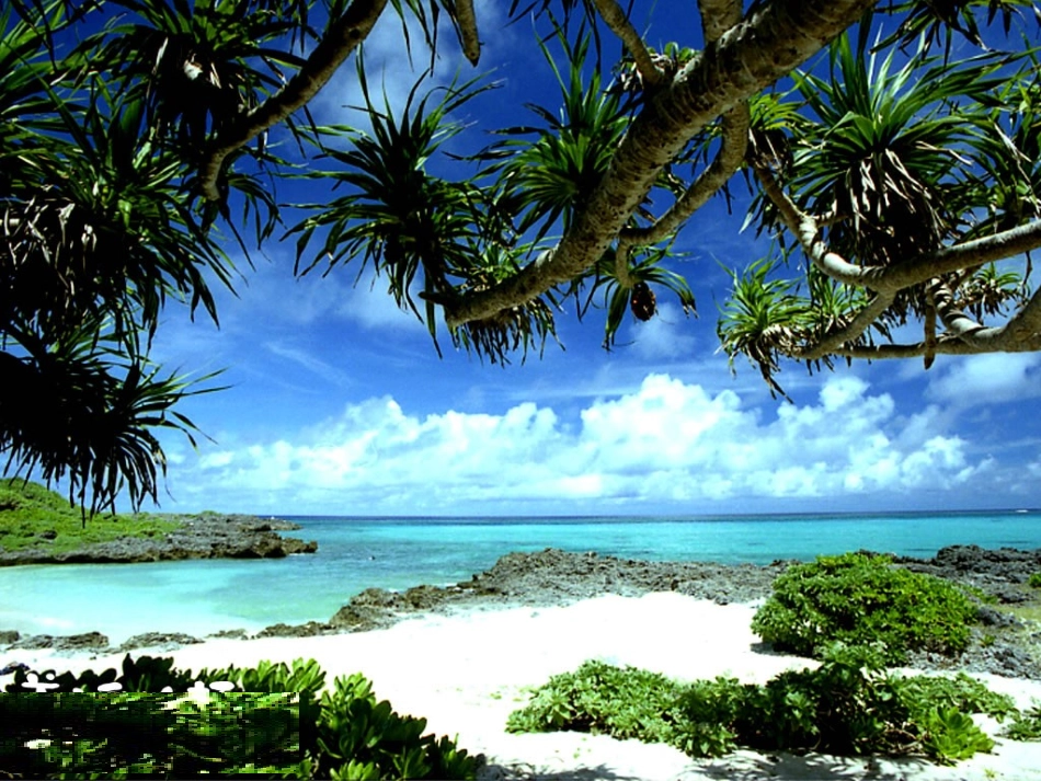 生态系统的组成第1课时_第2页