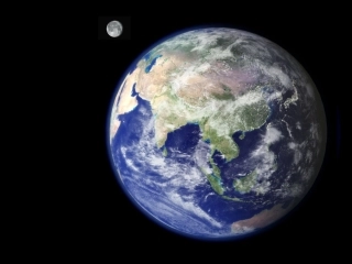 生态系统的组成第1课时