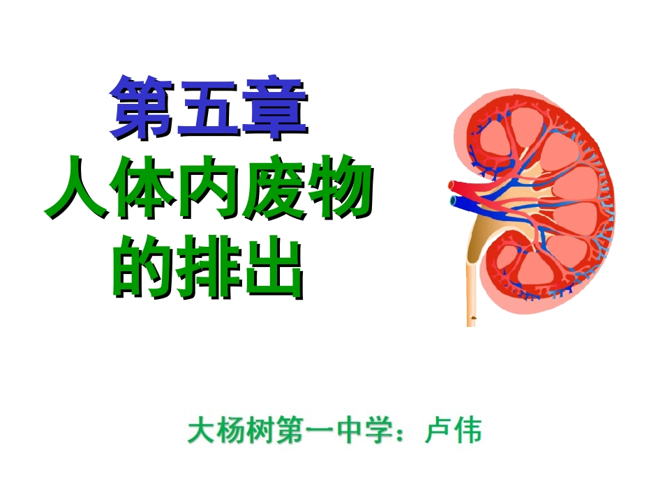 %28上课%29人体内废物的排出课件修订稿_第1页