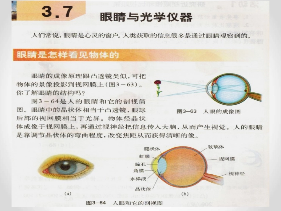 眼睛与光学仪器共张PPT_第2页