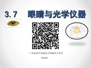 眼睛与光学仪器共张PPT