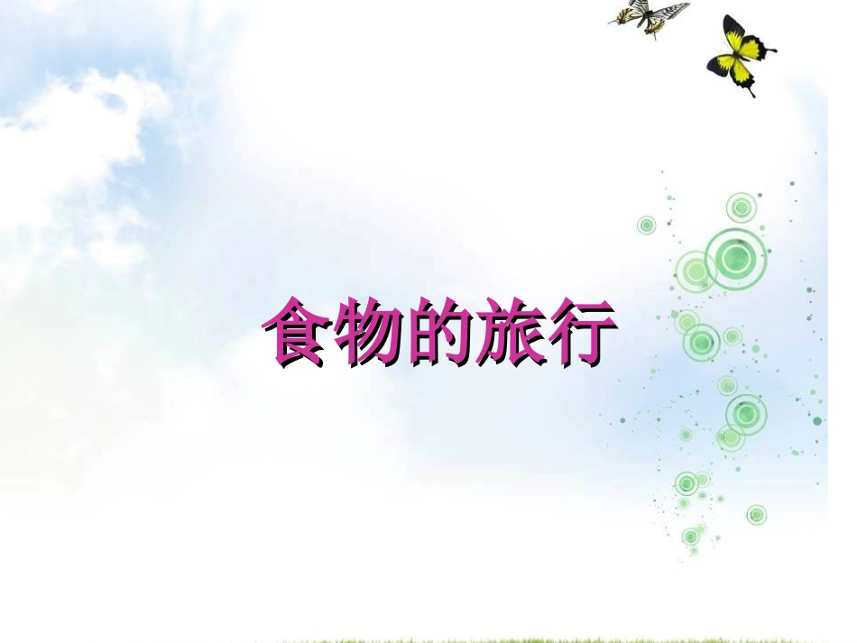 食物的旅行PPT课件_第2页