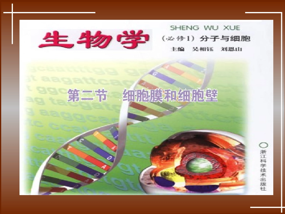 《细胞膜和细胞壁》课件３_第1页