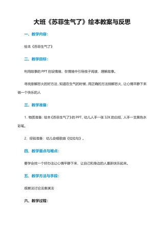 苏菲生气了教案