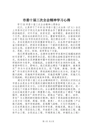 市委十届三次全会精神学习心得