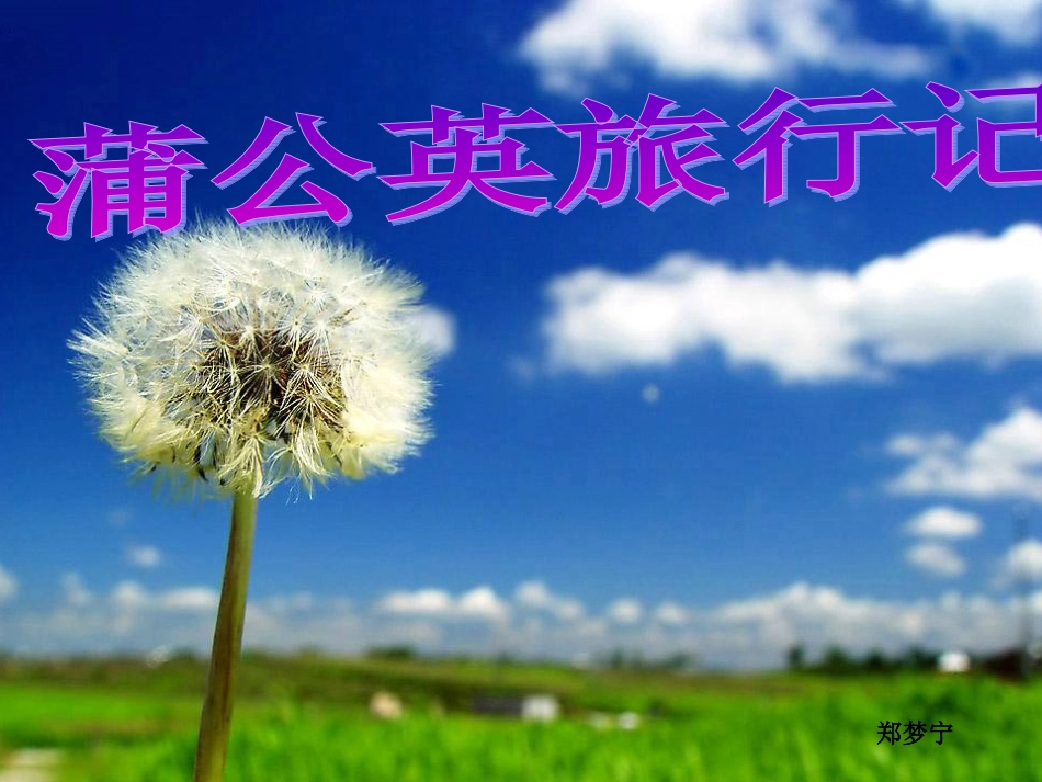 中班语言：蒲公英旅行记_第1页
