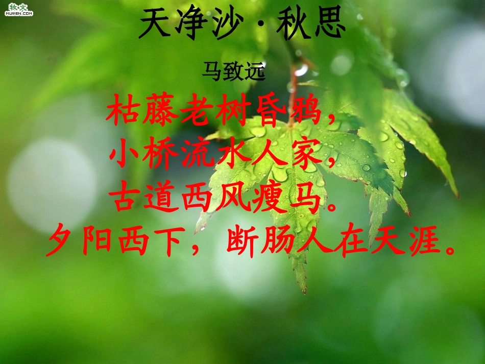 小桥流水人家课件_第2页