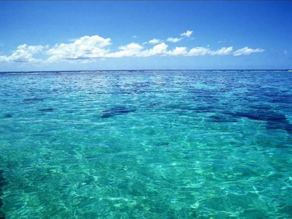 三年级语文下册富饶的西沙群岛4课件北京版_第3页