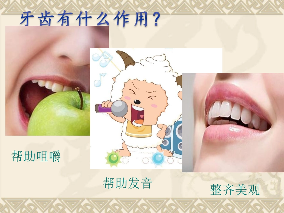 【小学健康教育经典PPT课件】爱护牙齿(恢复)_第3页