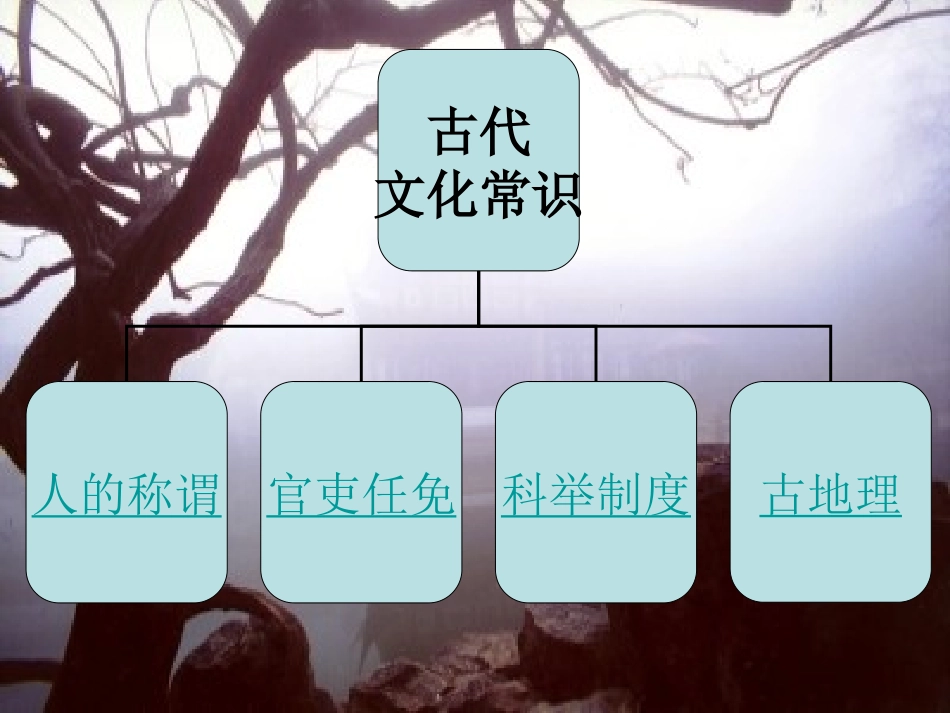 高中一轮复习专题课件：文言文_第2页