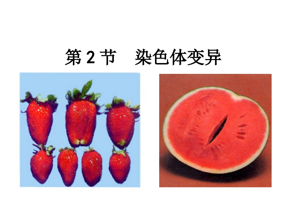 第5章第2节染色体变异课件_第2页
