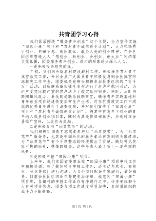共青团学习心得