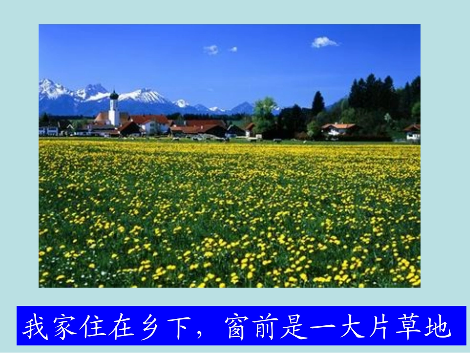 三年级语文上册第一单元2金色的草地_第1页