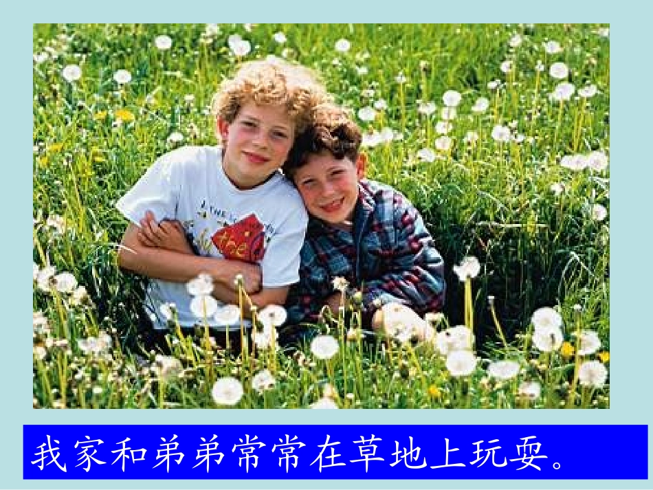 三年级语文上册第一单元2金色的草地_第2页