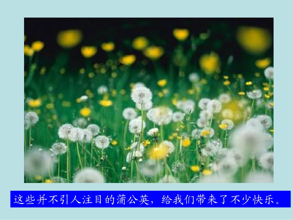 三年级语文上册第一单元2金色的草地_第3页