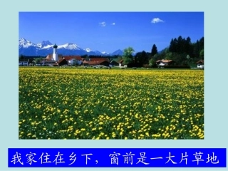 三年级语文上册第一单元2金色的草地