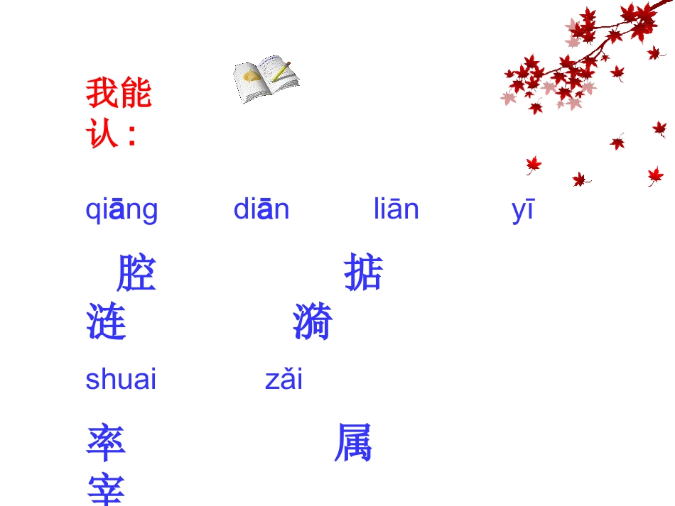 白公鹅课件PPT_第2页