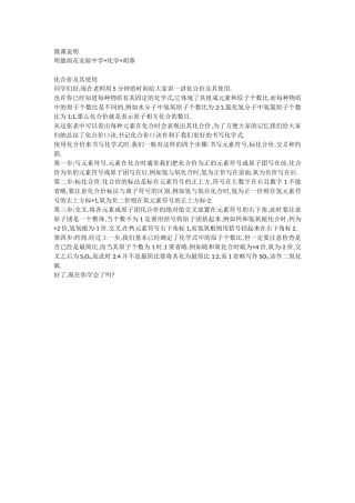 明德雨花实验中学+化学+胡蓉+微课说明