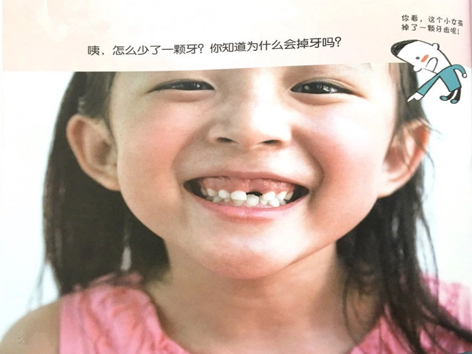 课件：为什么会掉牙(赵娜）_第2页
