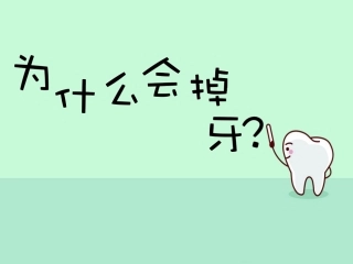 课件：为什么会掉牙(赵娜）