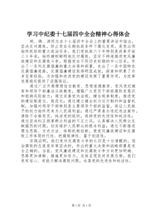 学习中纪委十七届四中全会精神心得体会