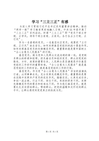 学习“三立三正”有感