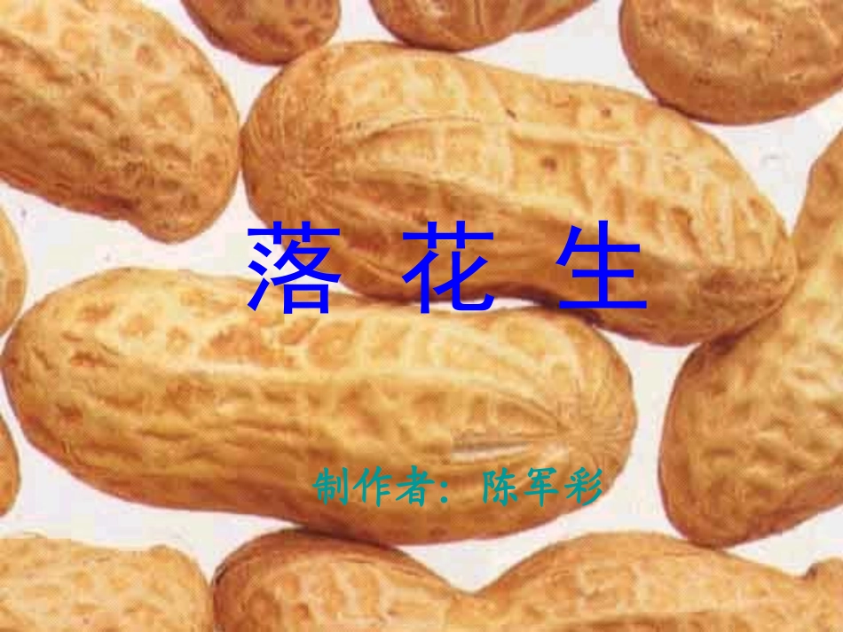 四年级语文下册《7、落花生》第一课时课件_第2页