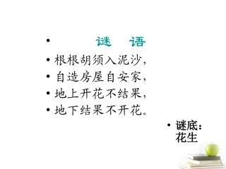 四年级语文下册《7、落花生》第一课时课件