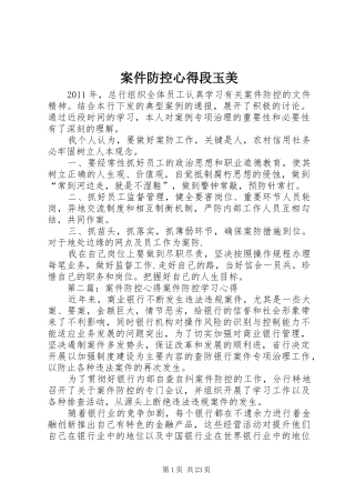 案件防控心得段玉美