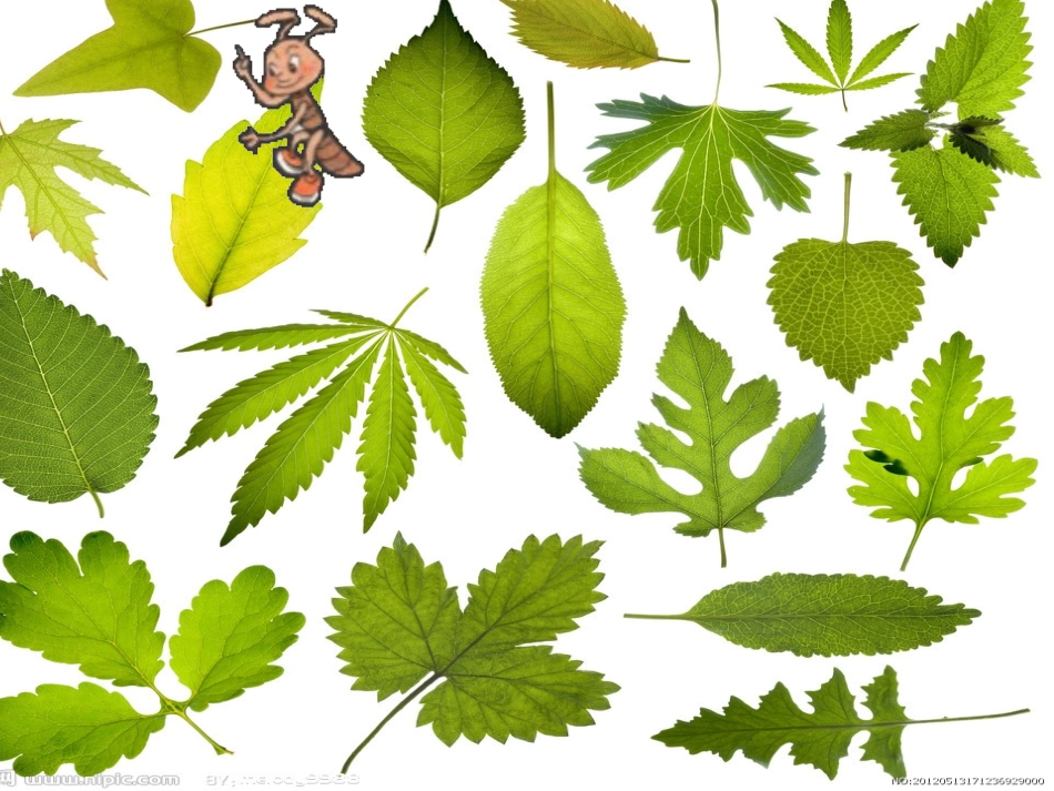 什么是周长第一课时_第2页