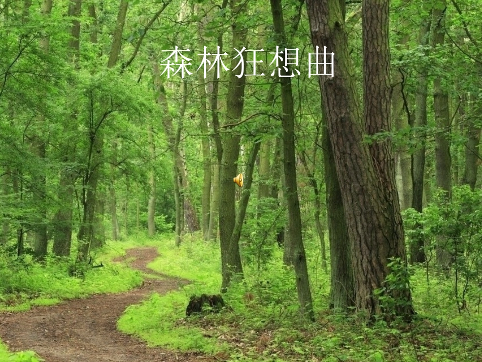 《山中访友》1课件_第2页