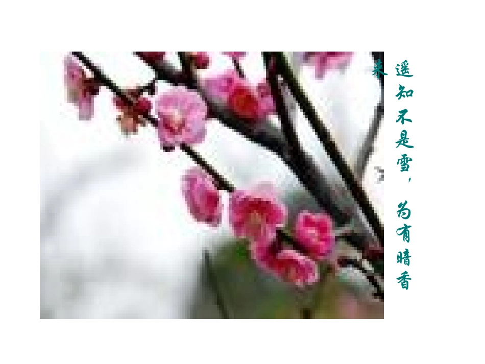 初三化学《分子和原子》教学课件_第2页