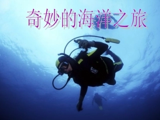奇妙的海洋世界