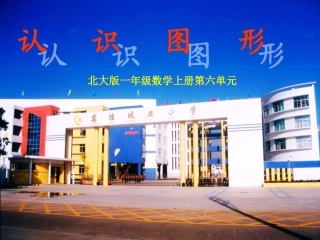 认识立体图形（曾阳新）