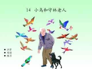 小鸟和守林老人